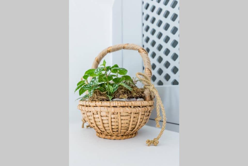 Myrtia House Skopelos Ngoại thất bức ảnh